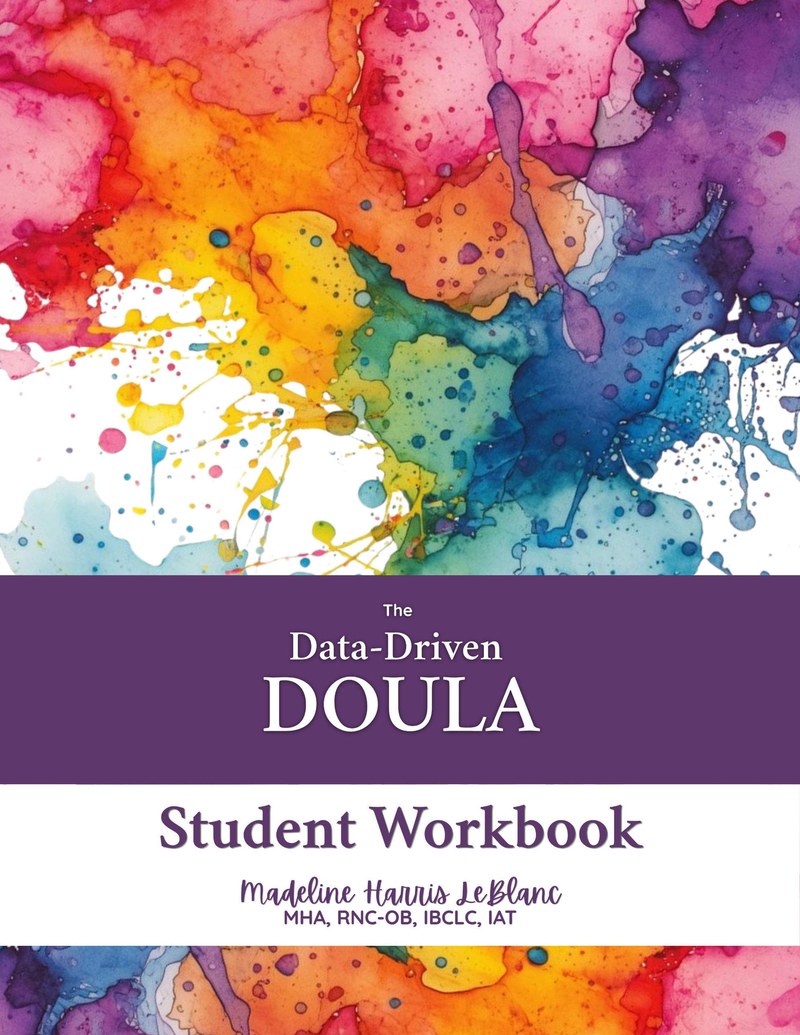 The Data-Driven Doula Student Workbook cover